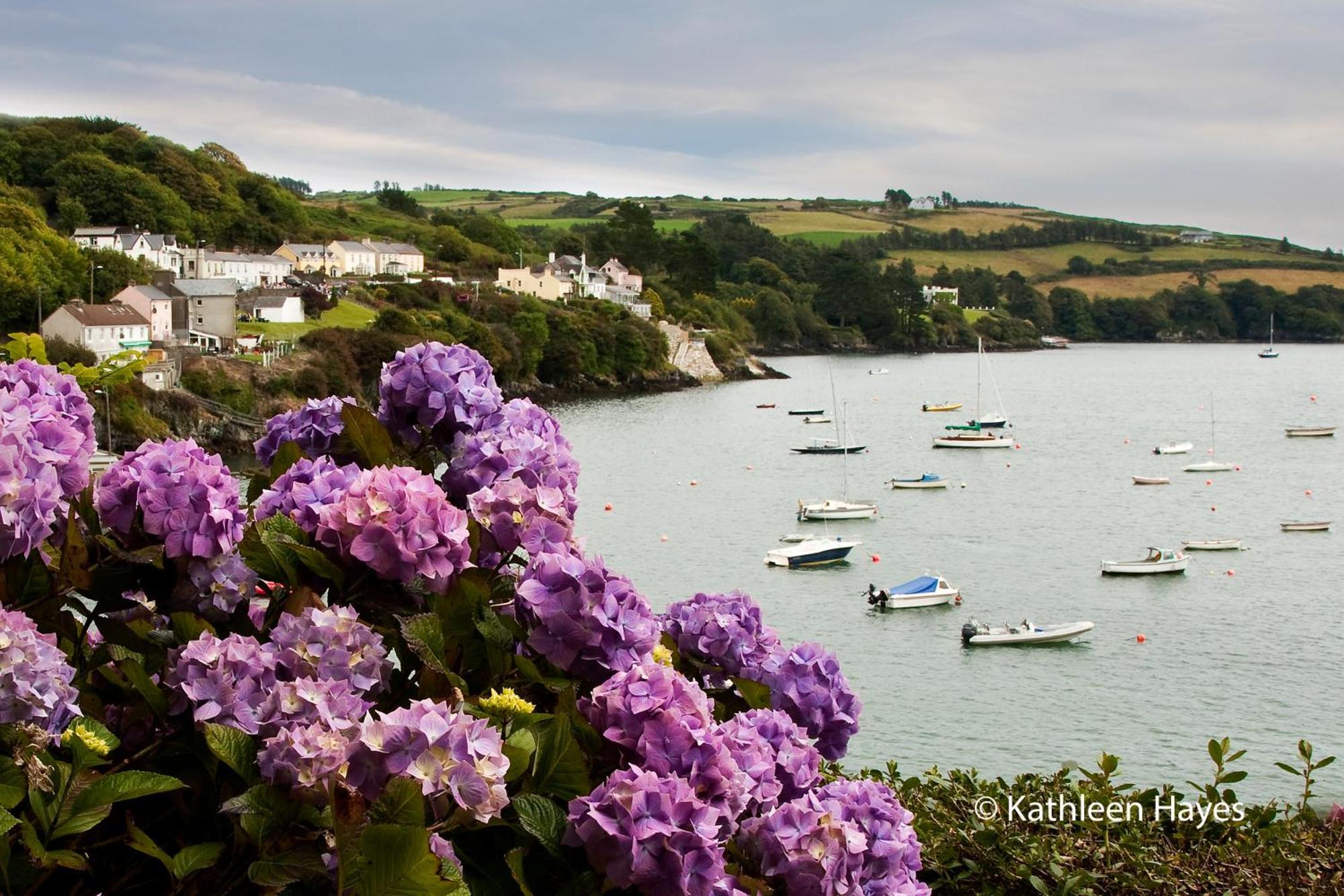 Bay View B&B Glandore חדר תמונה